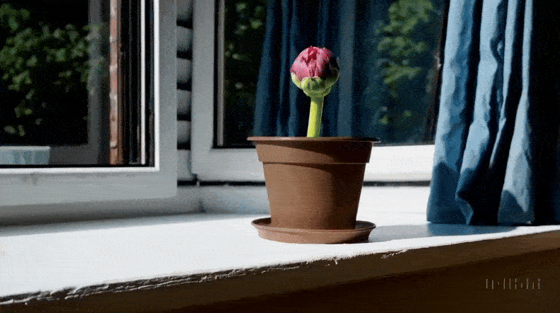 OpenAI发布能从文本生成视频的AI模型Sora