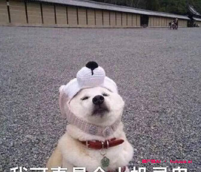 从PPT到经济独立:我是如何靠着PPT赚到大学时的月入过万