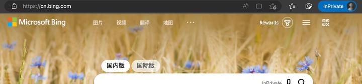 微软新Bing:AI能力全开的保姆级使用手册