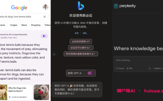 AI学习网站：探索新一代智能搜索