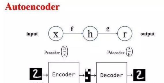 自编码器示意图