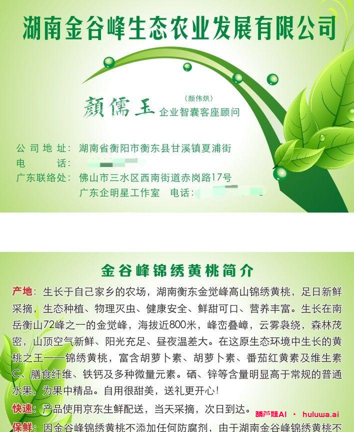 AI自媒体：科技领域的新宠儿