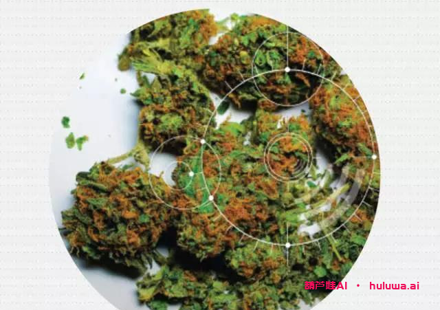 AI，你在哪里？8个你意想不到的人工智能应用