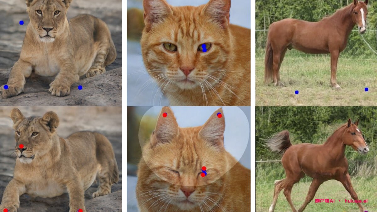 DragGAN：图像编辑的新时代？